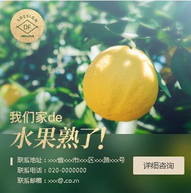 龙港果园果林小程序开发